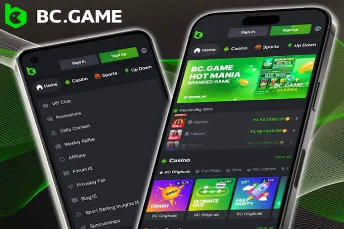 Download the BC.Game APK File A Comprehensive Guide