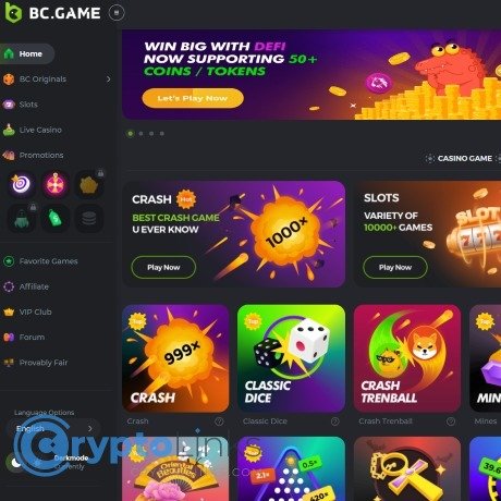 Exploring the Exciting Bonus Offers at BC.Game