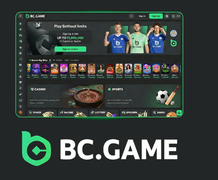 Understanding the BC.Game Login Process A Comprehensive Guide -337368901
