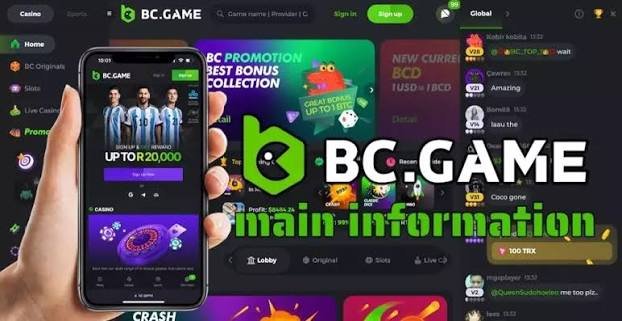 Understanding the BC.Game Login Process A Comprehensive Guide -337368901